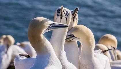 九游用户空间-中超场均传球次数排名对照，中超场均观众人数