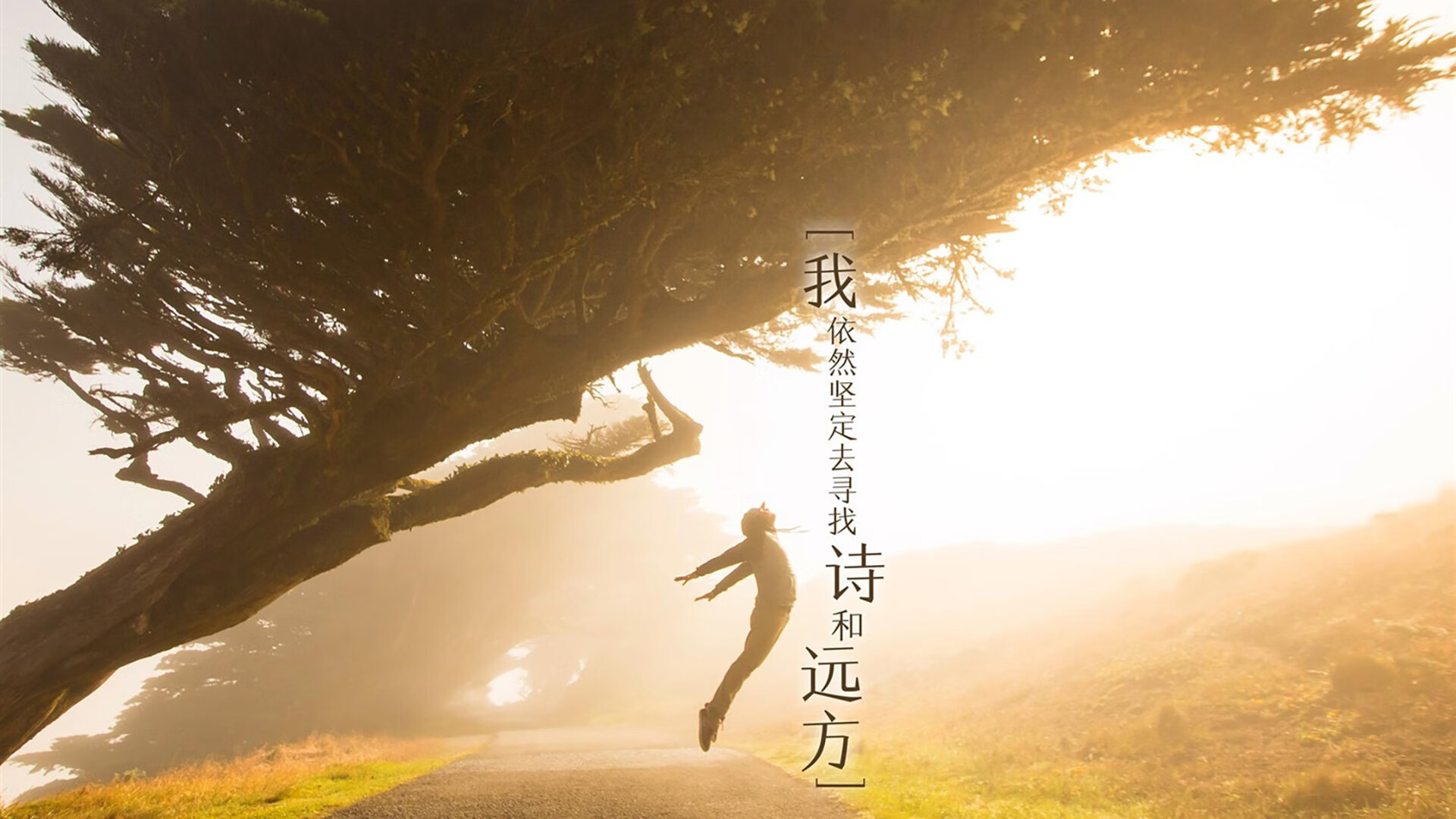 球迷传说：支持球队几十年的动人故事，球迷口号有哪些