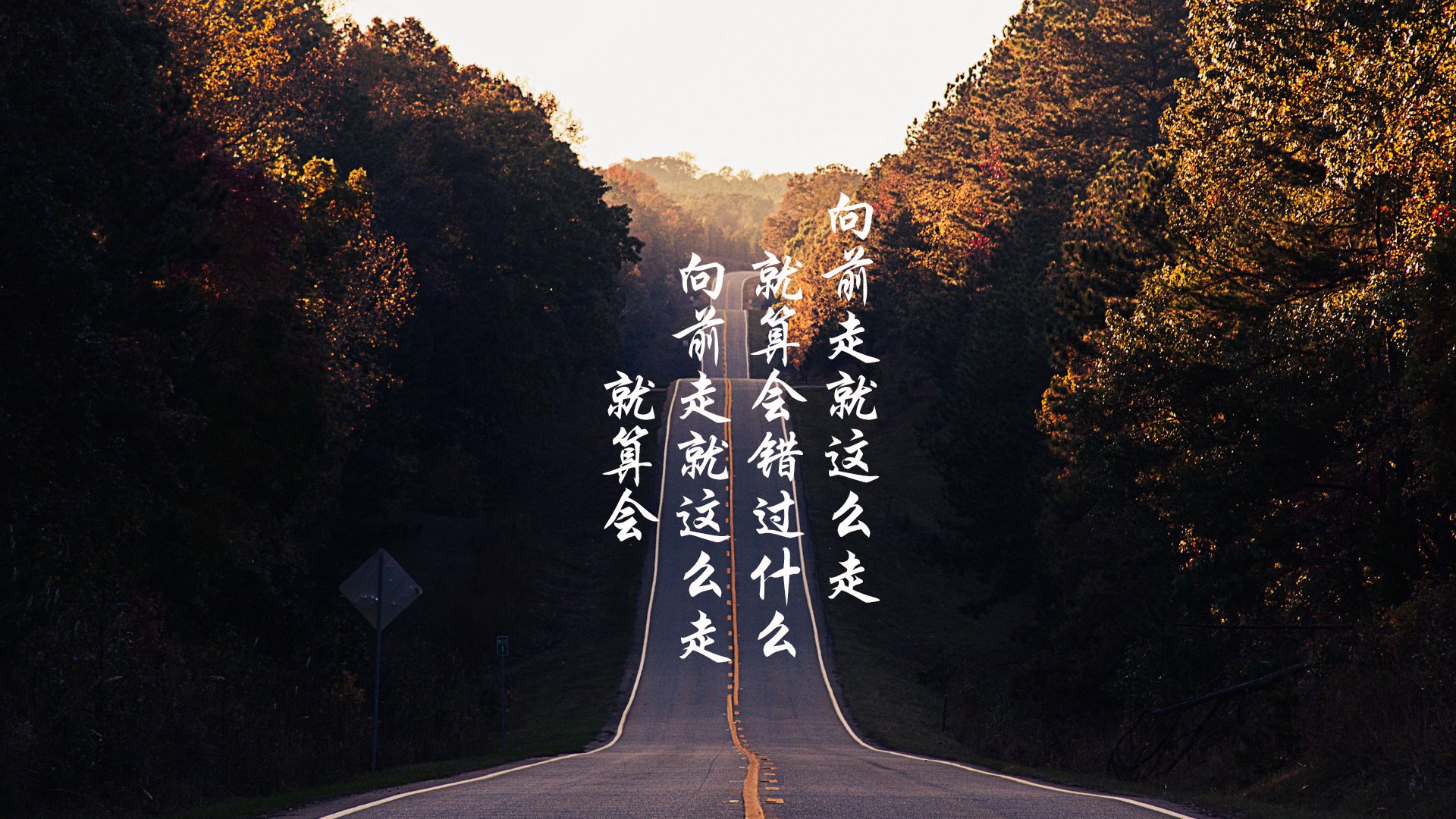 阿根廷马术学院推出青少年培训计划，培养未来马术明星。，阿根廷赛马